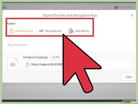 Den MEGA Cloud Speicher nutzen: 14 Schritte (mit Bildern).
